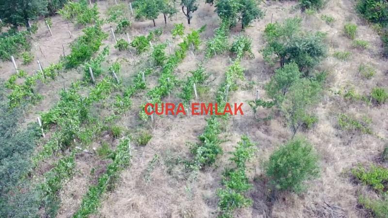 KONYA SEYDİŞEHİR GÖKÇEHÜYÜKTE SATILIK 1095 m2 BAĞ YERİ