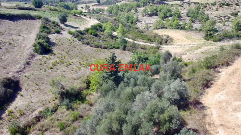 ANTALYA MANAVGAT AKSAZ KOCA BELEN MEVKİ SATlLlK TARLA