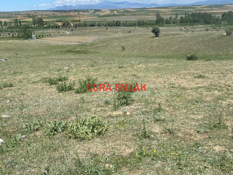 KONYA SEYDİŞEHİR YENİCEDE SATILIK 2250 m2 TARLA RESMİ YOLU VAR